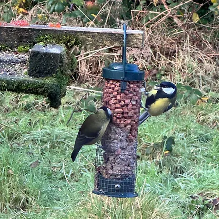 Tievemore - Connemara Bayfront Retreat *